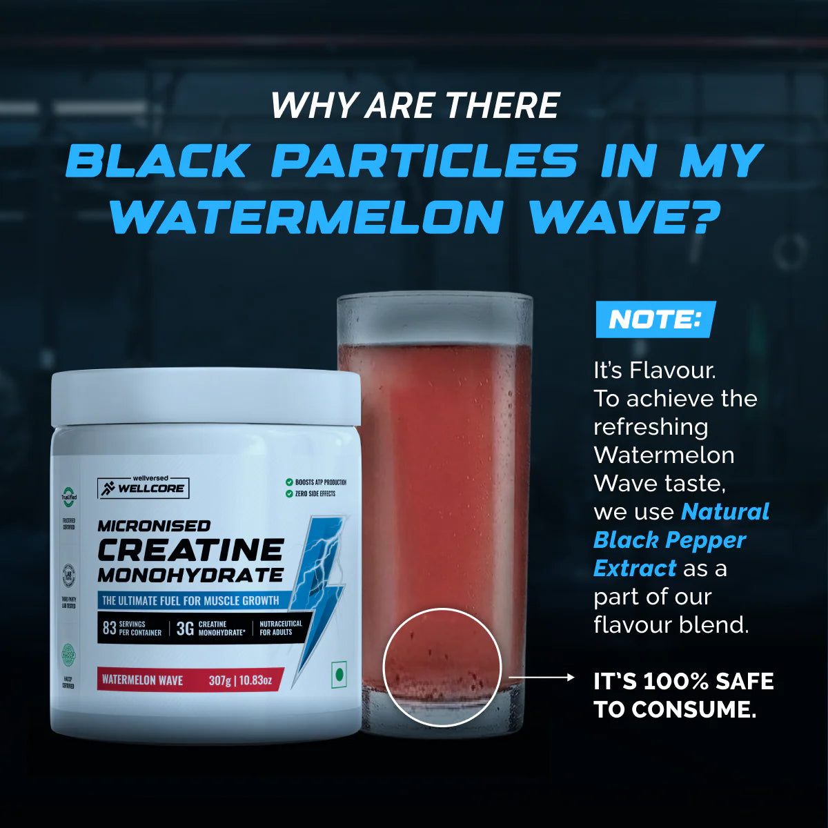 WELLCORE MONOHYDRATE CREATINE (307g, 83 Servings)