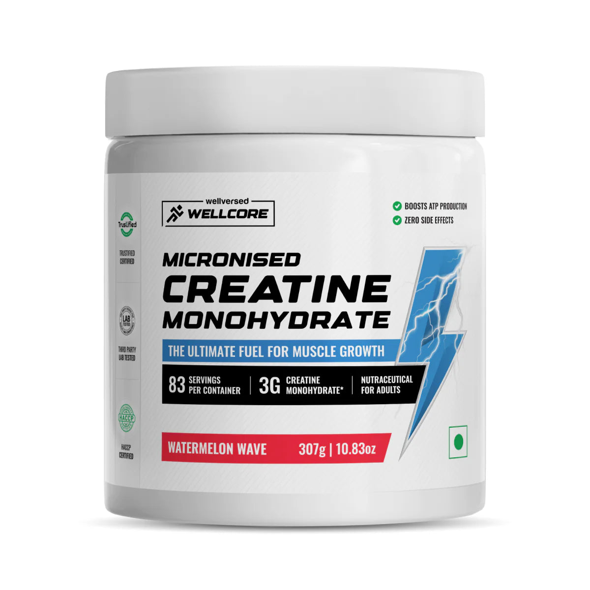 WELLCORE MONOHYDRATE CREATINE (307g, 83 Servings)